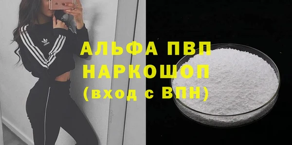спиды Пересвет