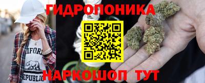 PSILOCYBIN Волжский