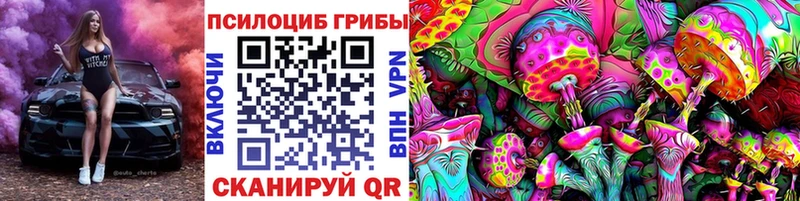 где купить наркотик  omg ONION  Псилоцибиновые грибы Cubensis  Кунгур 