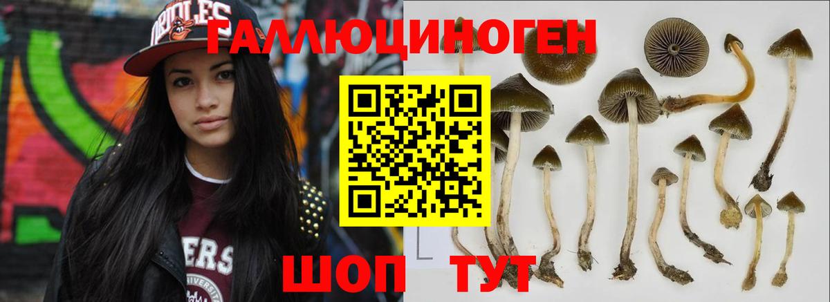 Галлюциногенные грибы прущие грибы Кунгур
