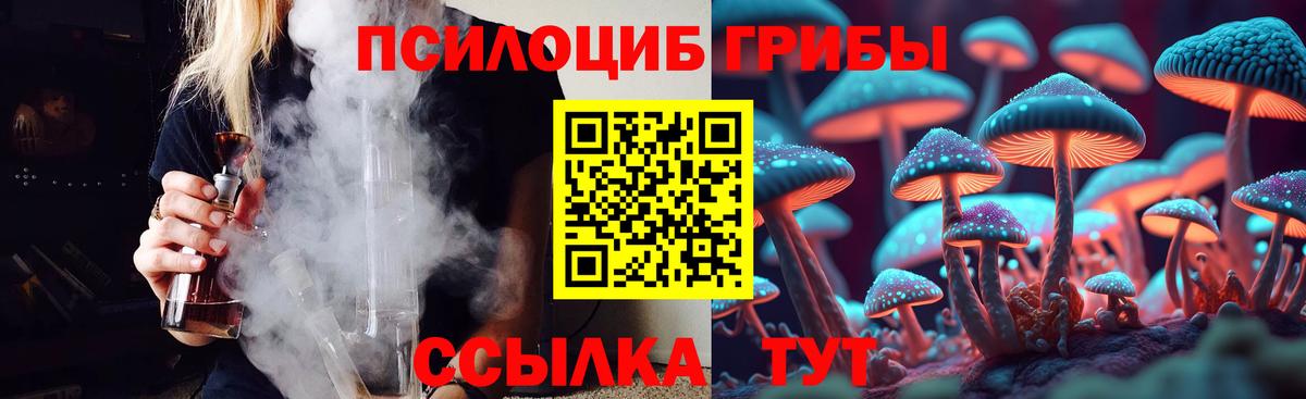 Кунгур  Галлюциногенные грибы Cubensis  Вход с VPN  купить наркоту  Псилоцибиновые грибы GOLDEN TEACHER 